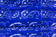 Blue mask-Blue paisley pattern mask