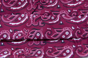 White mask-Red paisley pattern mask